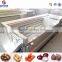 Multi-function automatic julienne vegetable avocado pineapple slicer