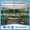 Greenhouse for sale