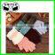 Beauty Style,Low Price,High Quality,Sexy Girl Gloves for smartphone
