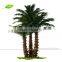GNW APM018 Oversize Outdoor Palm Trees With China Fan Leaves For Outdoor Decoration