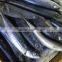 2016 Top grade frozen pacific mackerel 200g-300g