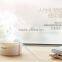 Portable Water Bottle Steam USB Humidifier Air Mist Diffuser
