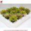Wholesale artificial mini succulent plant artificial small potted plant