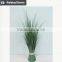 Hotsales natural cylinder onion grass for garden decoraction