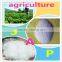 Hydrogel water retain super absorbent polymer SAP for agricultural