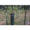 Gal. Hexagonal Wire Mesh