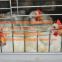 Saudi Arabia Poultry Farming Hot Galvanized Cage & Automatic Broiler Cage & Chicken Cage with Feeding & Drinking System for Farming