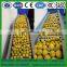 Newest latest fruit washing waxing and sorting machine