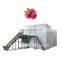 Luo Han Guo lotus mist IQF Machine Quick Freeze Luo Han Equipment