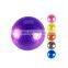 2021 Vivanstar Custom Yoga Ball Body Exercise Massage Yoga Ball
