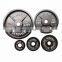 Fitness Body Building Weight Lifting Standard size Cast Iron Barbell Weight Bumper Plates Olympia training weight plate