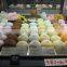 Full Automatic Encrusting &Aligning Machine/ High Speed Japanese  Daifuku Mochi Ice Cream Making Machine
