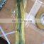 USEKA Excellent quality Auto parts Front Left Tie Rod Assembly OEM 1243300803 124 330 09 03 For Mercedes Benz W124