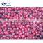 Sinocharm BRC A Approved IQF Cranberry Whole Fruit Frozen Cranberry