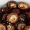 Bulk Dried Shiitake Mushroom Wholesale Price 3-5 CM