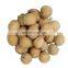 Factory wholesale high quality kabuklu ceviz light amber halves Xinjiang ceviz