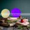 led solar motion sensor light ball DC recharge sphere party lights solar powered ball led