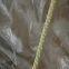 PVB  lamination glass experiment  Roller rope for furnace body of flat press