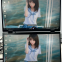18.5-inch dual screen portable monitor