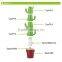 D669 Eco-friendly Cactus Shaped plastic products coffee cup tea cup                        
                                                                                Supplier's Choice