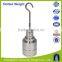 Accurate calibration hook weight, oiml