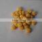 snack extruder machine
