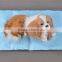 Sponge Cool gel pet mat