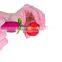 Stem Gem Strawberry Huller,Red,Strawberry Corer