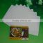 manufacturer High quality and oil absorptivity tempura paper with keeping of freshness
