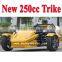 2015 NEW China Wholesale Ztr Trike Roadster 250cc & Ztr-trike-roadster-250cc (MC-369)