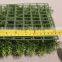 Wall Decorative Lush Plastic Indoor Green Artificial Needle Leaves Grass Mat Hedge for Sell