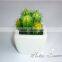 China supplier wholesale high simulation artificial cactus/succulent plant for table decoration