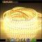 wholesale led strip light 220v , fashion 220v led strip