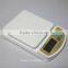 Digital Mini Pocket Scale 3000g*0.5g digital lab kitchen office balance industrial food electronic scale