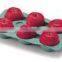 small paper pulp fruit tray