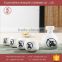 Wholesale Ceramic Wine Set , Japanese Sake Set