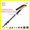 Wholesale Nordic carbon fiber walking stick nordic walking pole