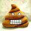 Newest Funny Poo Shape emoji Stuffed Throw Pillow for Bed Sofa