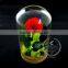 10x18cm The Little Prince Red Rose Dry Preserved Flower Glass Dome Home Decoration Table Centerpiece Indoor Gardening 0120001