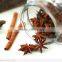 VIETNAM STAR ANISE SEEDS/ STAR ANISE EUROPA STANDARD GOOD PRICE
