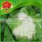 Best white cauliflower