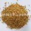 Fenugreek Seed