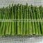 IQF green asparagus whole/pieces