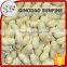 Jumbo bulk peanuts in shell for sale