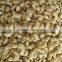 VIETNAM CASHEW NUTS ALL GRADE From RELIABLE MANUFACTURER