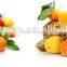 Fruit juice wholesale