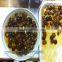 PHOLIOTA NAMEKO small pickled nameko mushroom best canned mushrooms