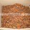 VIETNAM AUTUMN STAR ANISEED COMPETITIVE PRICE