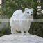Animated Toy Siberian Husky Puppies for Sale