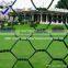 high quality anping hexagonal mesh(factory ISO9001)